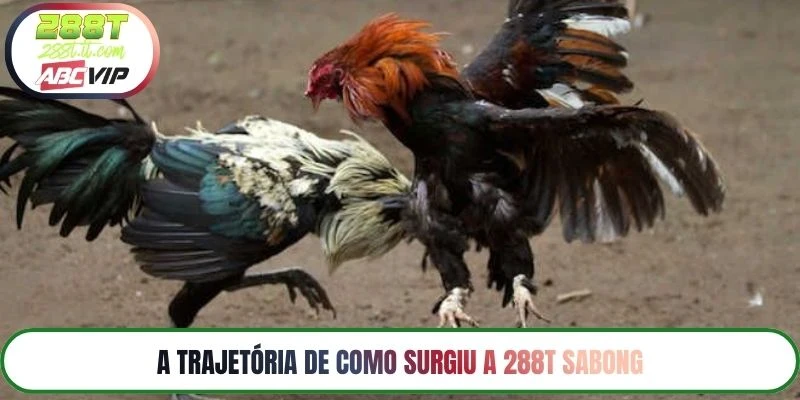 A trajetória de como surgiu a 288T Sabong