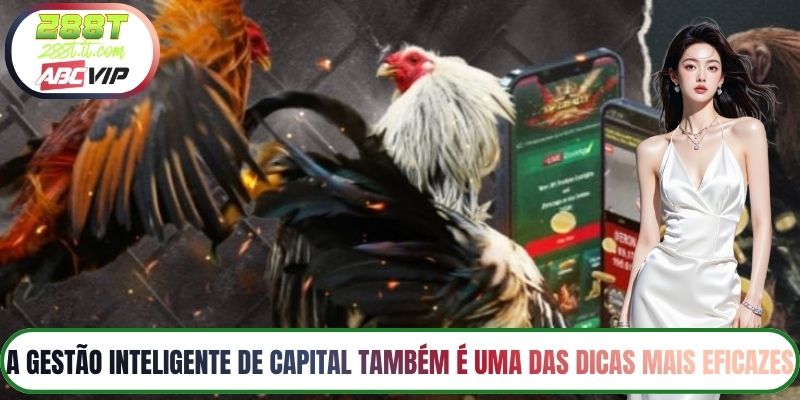 A Gestão Inteligente de Capital Também É Uma das Dicas Mais Eficazes