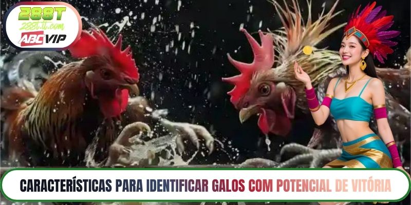 Características para identificar galos com potencial de vitória