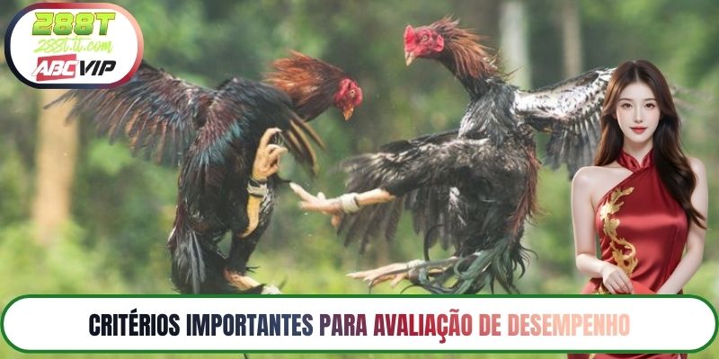 Critérios Importantes para Avaliação de Desempenho