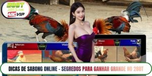 Dicas de Sabong Online – Segredos para Ganhar Grande no 288T