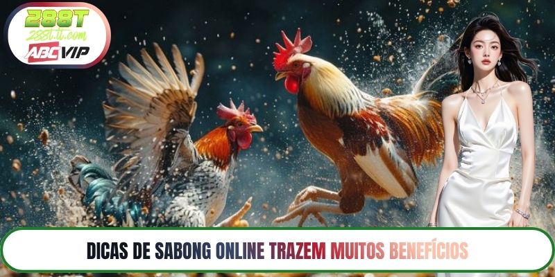 Dicas de Sabong Online Trazem Muitos Benefícios