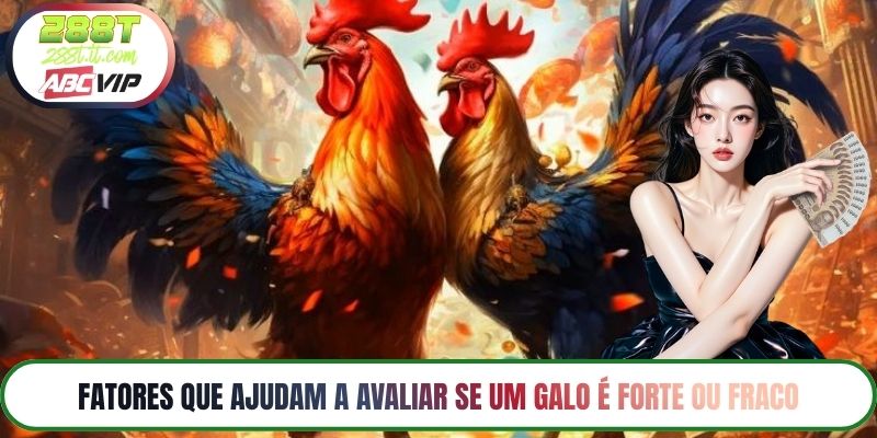 Fatores que ajudam a avaliar se um galo é forte ou fraco