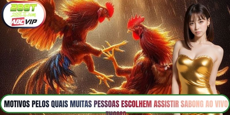 Motivos pelos quais muitas pessoas escolhem assistir sabong ao vivo Thomo