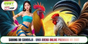 Sabong do Camboja – Uma Arena Online Premium no 288T